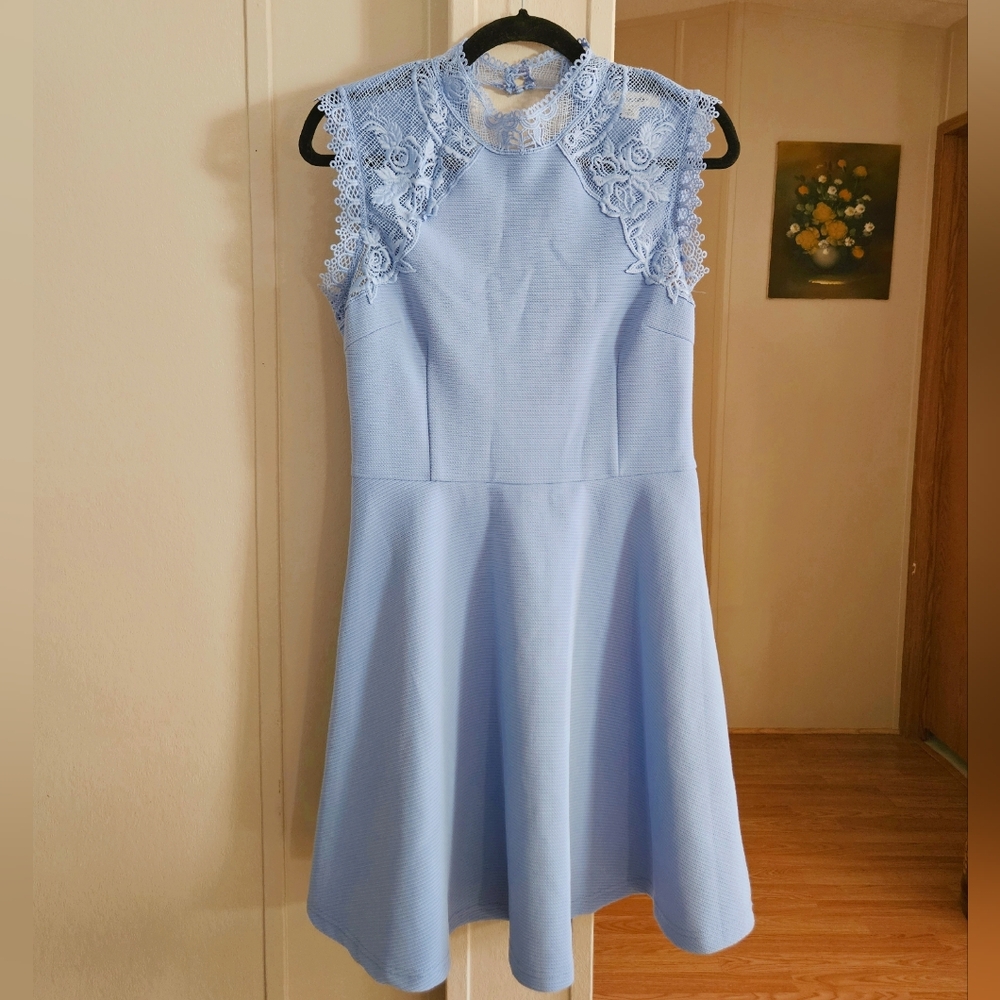 Francesca's Collections Lace Detail Skater Dress